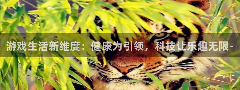 长征娱乐注册官方登录app：游戏生活新维度：健康为引领，科技