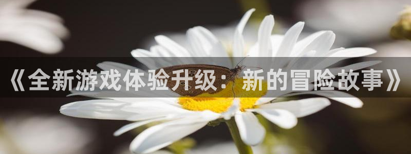 长征娱乐平台官网注册：《全新游戏体验升级：新的冒险故事》