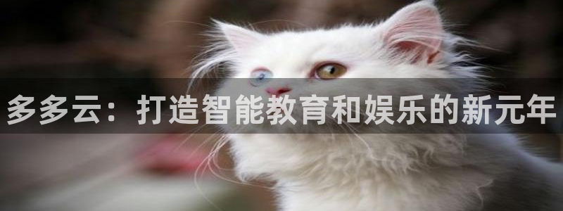 长征娱乐娱乐：多多云：打造智能教育和娱乐的新元年