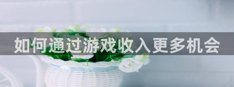 长征娱乐直属：如何通过游戏收入更多机会