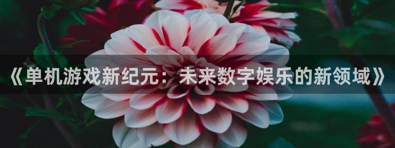 长征娱乐登陆地址：《单机游戏新纪元：未来数字娱乐的新领域》