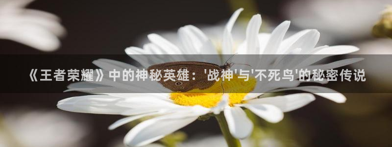 长征娱乐：《王者荣耀》中的神秘英雄：\'战神\'与\'不死鸟