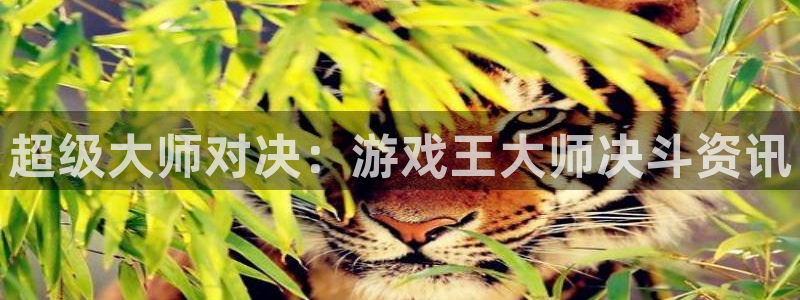长征娱乐主管：超级大师对决：游戏王大师决斗资讯