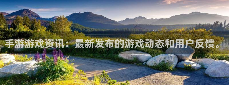 长征娱乐平台官方网站：手游游戏资讯：最新发布的游戏动态和用户