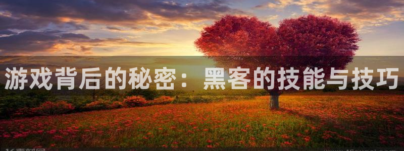 长征娱乐4招商：游戏背后的秘密：黑客的技能与技巧