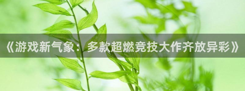 长征娱乐的意思：《游戏新气象：多款超燃竞技大作齐放异彩》