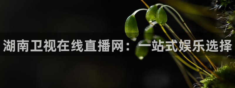 乐球app官方下载：湖南卫视在线直播网：一站式娱乐选择