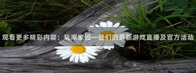 乐球直播在线免费观看：观看更多精彩内容：玩家家园—我们的最新游戏直播及官方活动