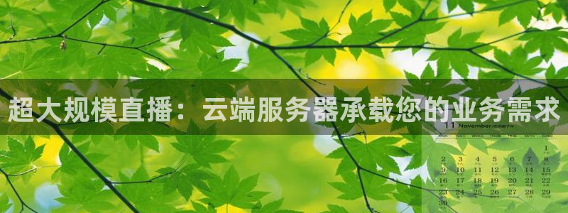 乐球免费nba直播：超大规模直播：云端服务器承载您的业务需求