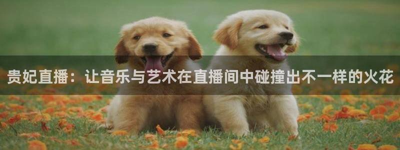 乐球体育直播：贵妃直播：让音乐与艺术在直播间中碰撞出不一样的火花