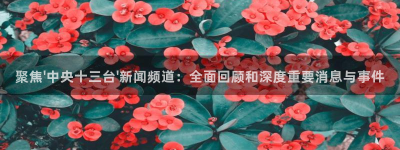 乐球直播nba在线观看：聚焦\'中央十三台\'新闻频道：全面回顾和深度重要消息与事件