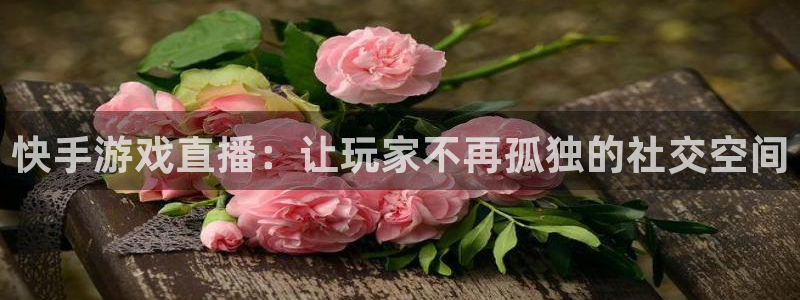 乐球直播篮球直播：快手游戏直播：让玩家不再孤独的社交空间