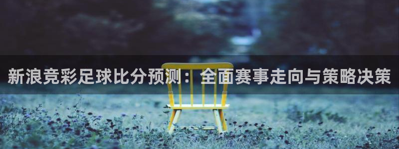 乐球直播app在线直播观看：新浪竞彩足球比分预测：全面赛事走向与策略决策