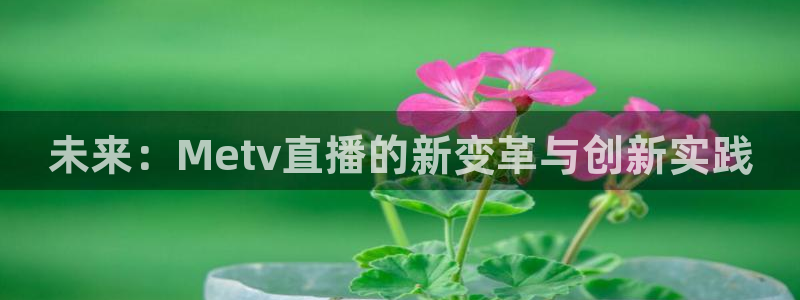 乐球体育直播免费在线观看：未来：Metv直播的新变革与创新实践
