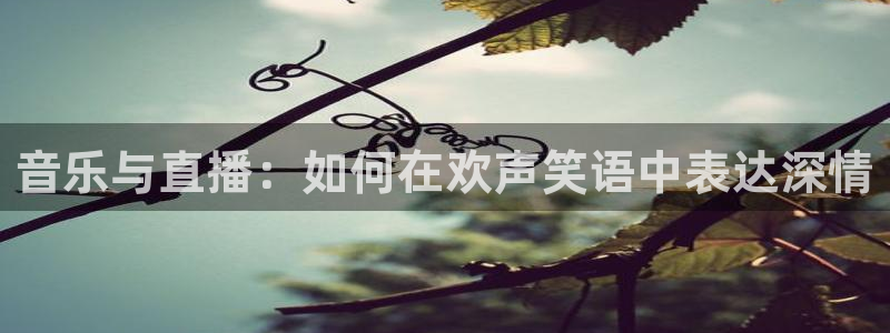 乐球直播足球直播免费观看高清：音乐与直播：如何在欢声笑语中表达深情