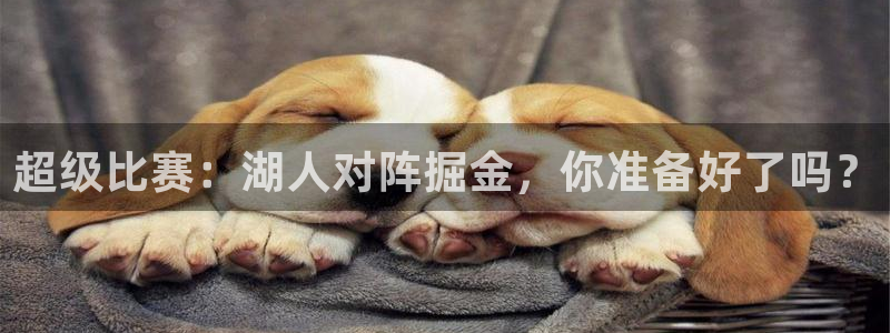 乐球直播免费体育直播在线观看高清