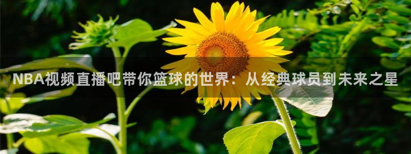 jrs直播nba乐球吧：NBA视频直播吧带你篮球的世界：从经典球员到未来之星